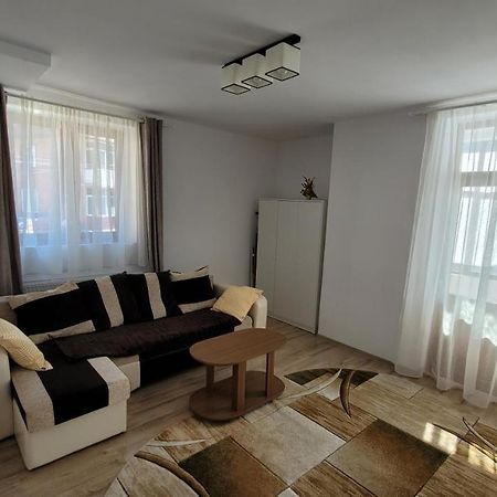 Andy Apartament Petroşani Екстериор снимка