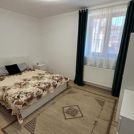 Andy Apartament Petroşani Екстериор снимка