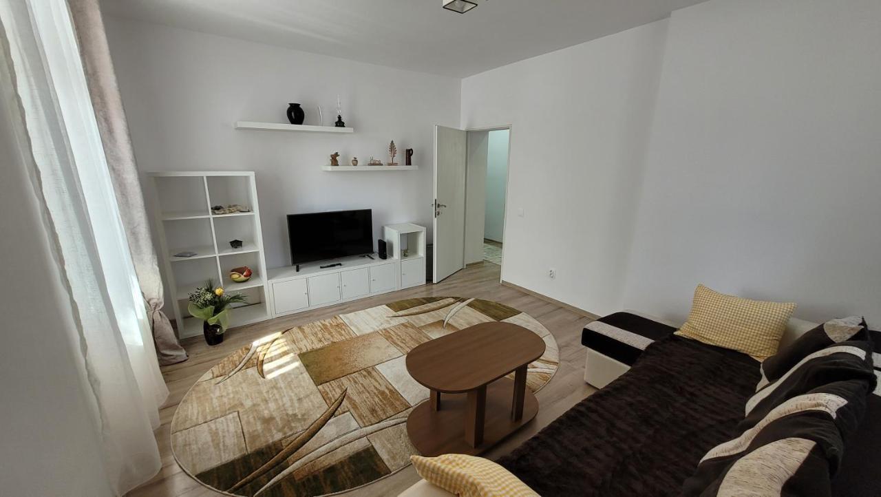 Andy Apartament Petroşani Екстериор снимка