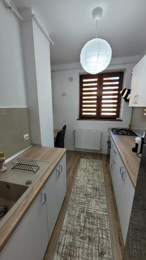 Andy Apartament Petroşani Екстериор снимка